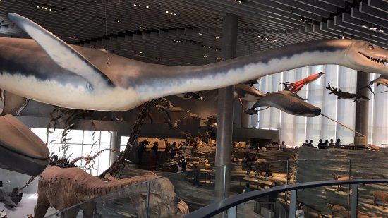 Naturhistorisches Museum Shanghai