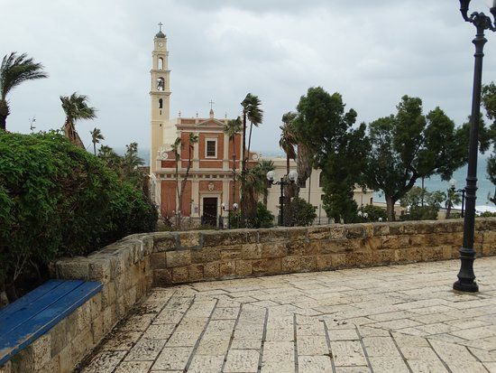 Suspended Orange Tree