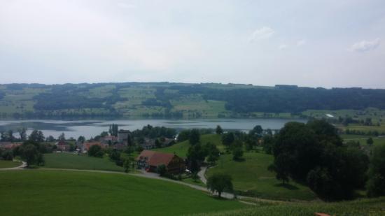 Schloss Heidegg mit Wohnhaus und Kapelle