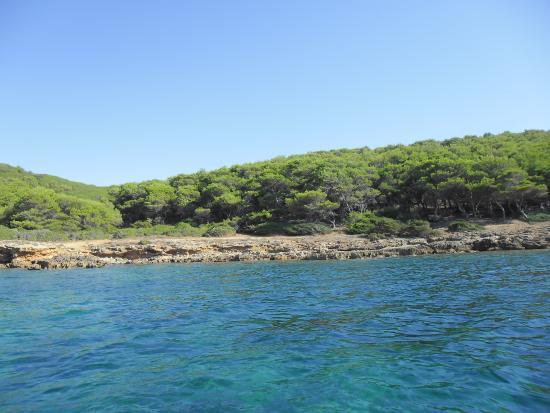 Jachthafen von Porto Conte