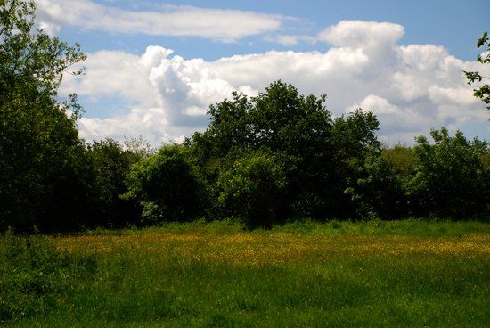 Dinton Pastures Country Park