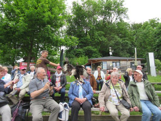 Falknerei Greifvogelpark