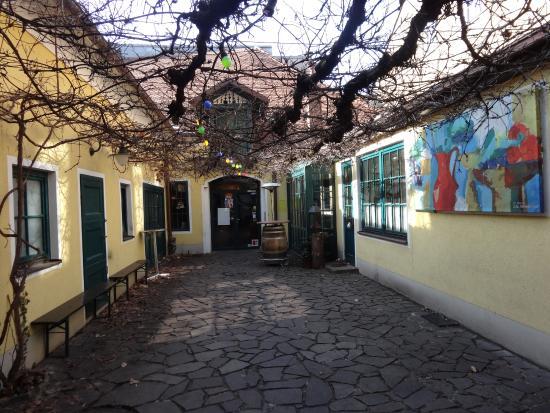 Weinlaube Schwarzer Hund