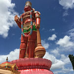 The Famous Royal Oak