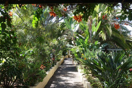 Jardin de Orquideas de Sitio Litre