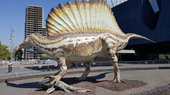 Museu de Ciències Naturals de Barcelona