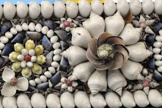 Phuket Seashell Museum