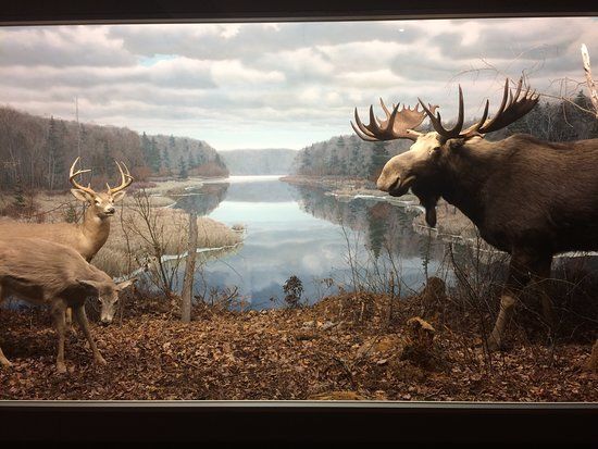 Nova Scotia Museum of Natural History