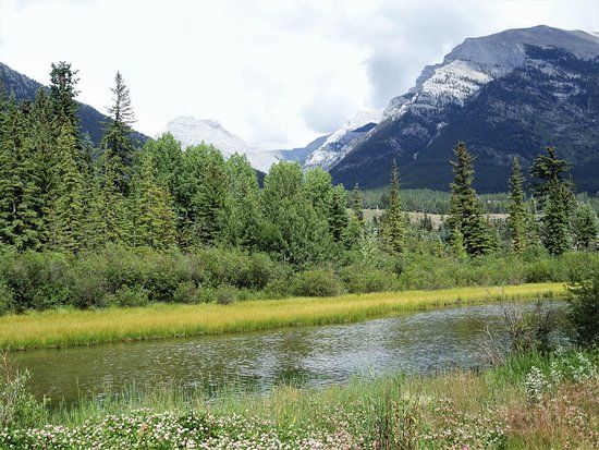 Policeman's Creek Boardwalk