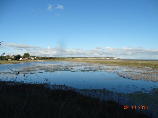 Sandwich and Pegwell Bay National Nature Reserve