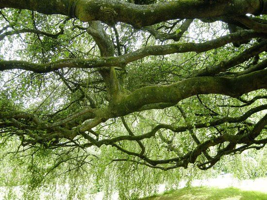 Botanischer Garten von Bayeux