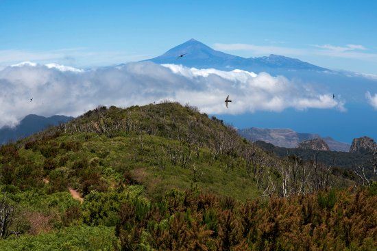 Alto de Garajonay