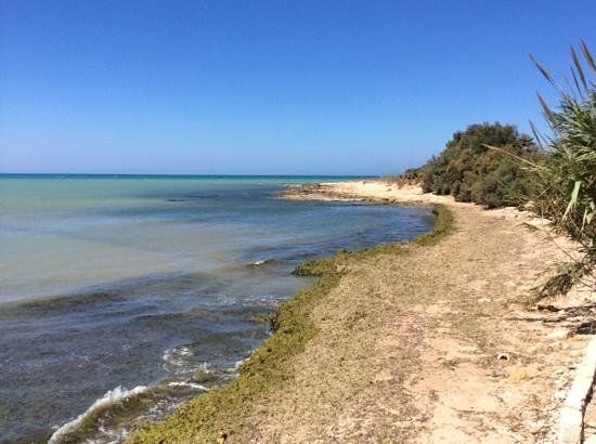 Naturschutzgebiet am Irminio Fluss