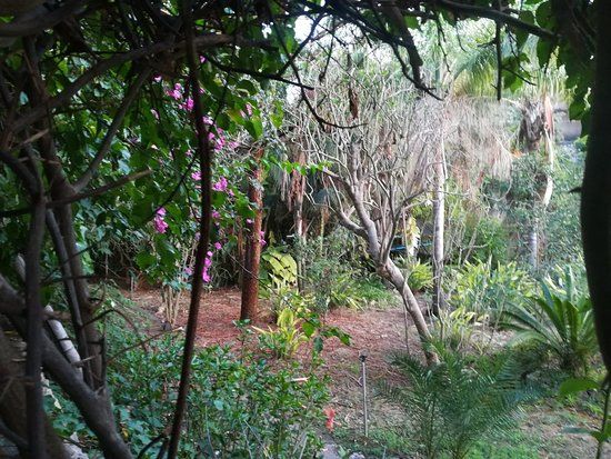 Jumaica Tropical Park