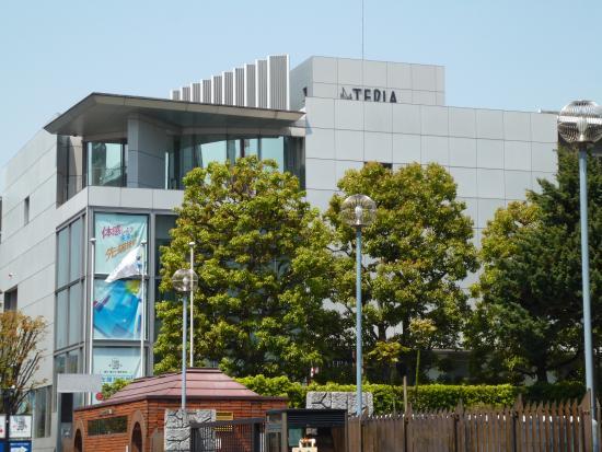 Tepia Advanced Technology Gallery