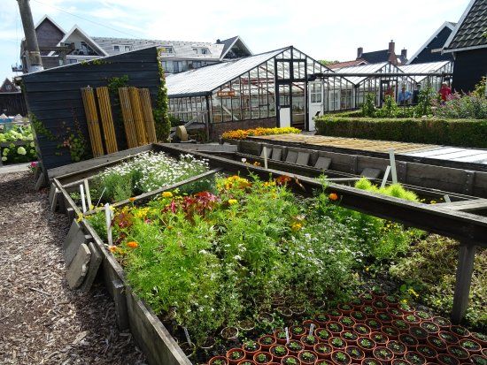 Museum Historische Tuin Aalsmeer