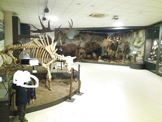 Prähistorisches Museum "Luigi Donini"