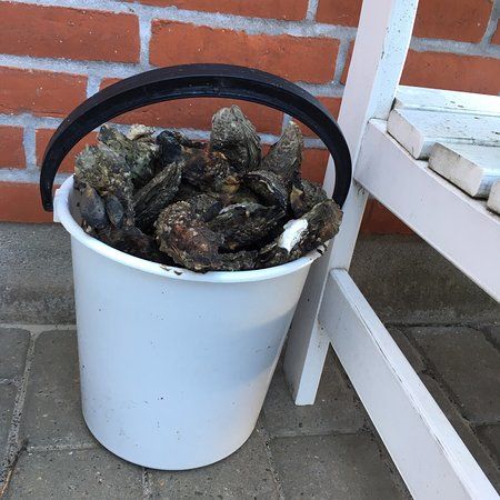 Naturcenter Tønnisgård