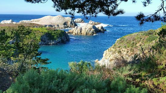 Point Lobos State Reserve