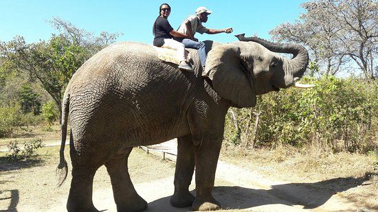 Hazyview Elefanten Heiligtum