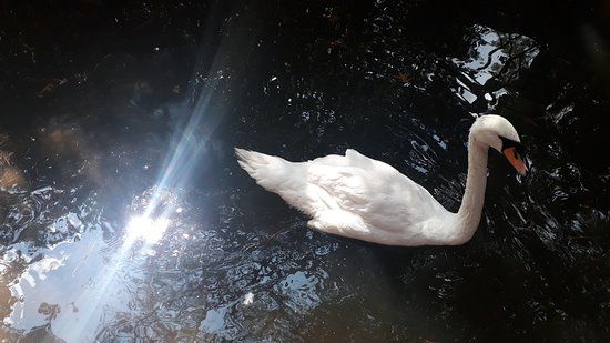 Petmasters Bird Park