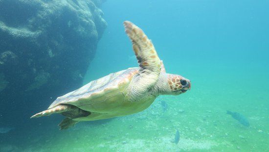 Freizeitpark Kelonia