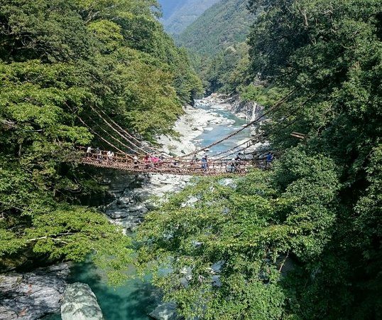 Iya Kazura Bridge