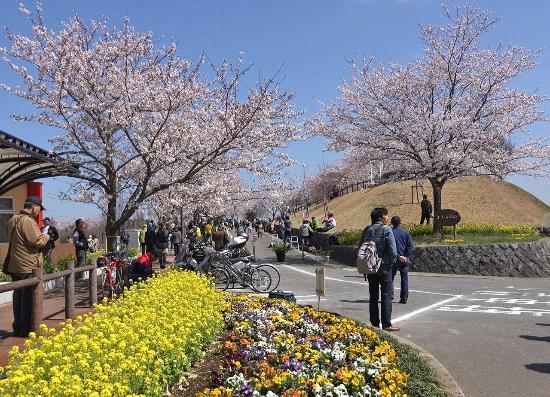 Sakura no yama Park