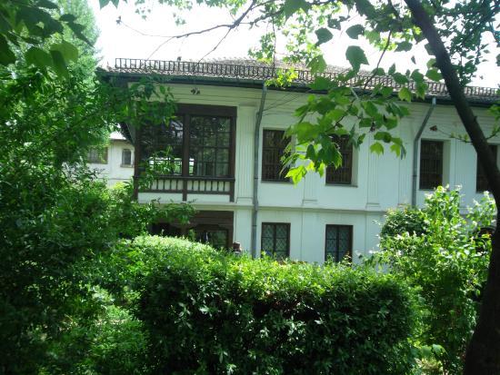 Theodor-Pallady-Museum