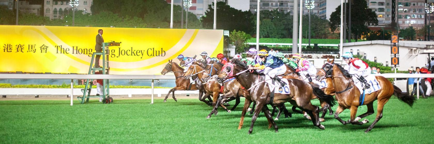 Happy Valley Pferderennbahn