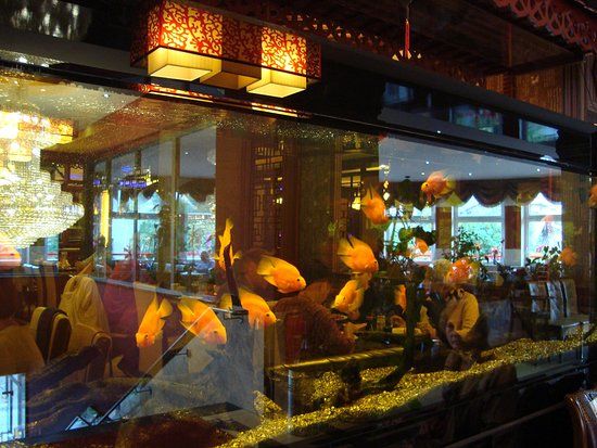 Asien Palast Restaurant