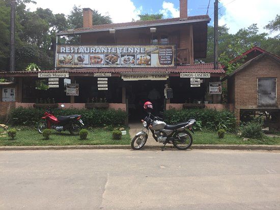 Tenne Blueberry Hill