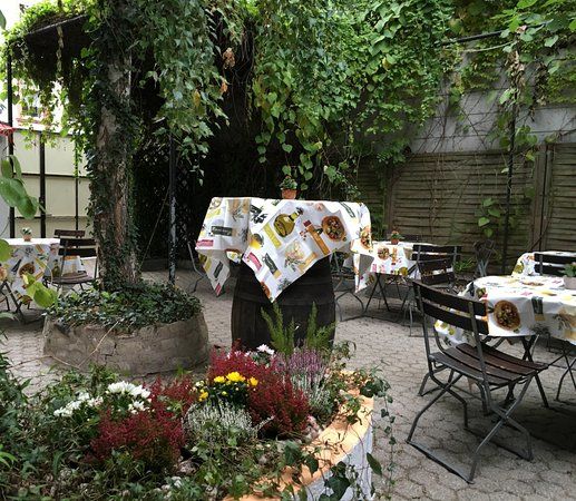 Grüne Oase Schwach & Sinn