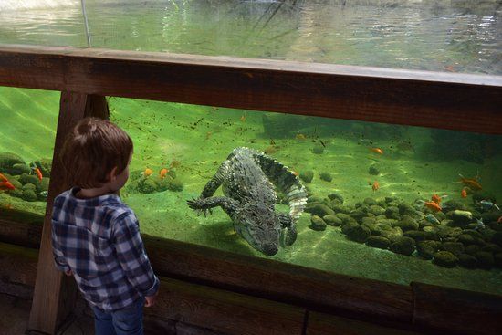 Erlebnispark Terra Natura