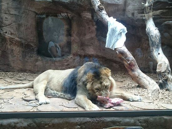 Tiergarten Nürnberg