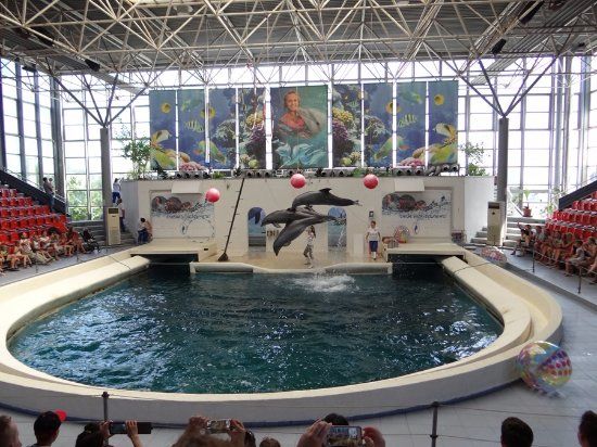 Dolphinarium Varna