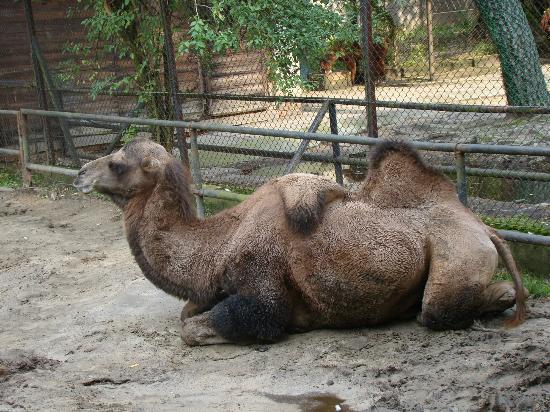Zoologischer Garten Łódź