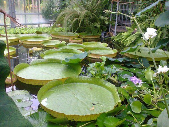 Botanischer Garten Kiel