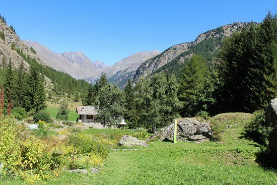 Alpengarten Paradisia