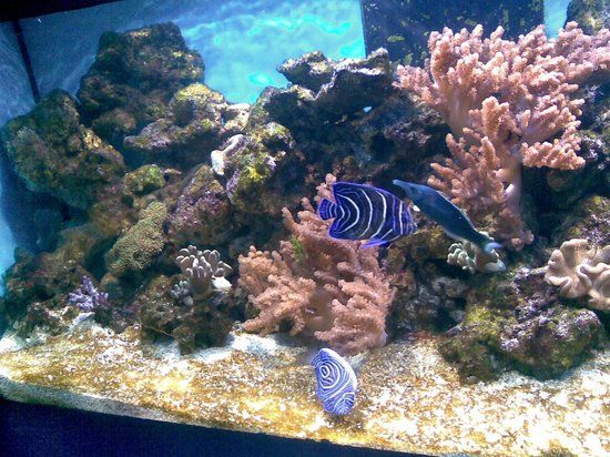 Visitors Center Danube Delta Aquarium