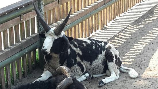 Heimattierpark Greifswald