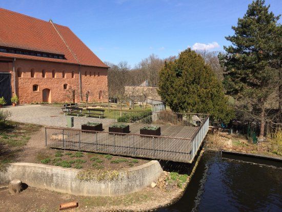 Tierpark Kloster Riesa