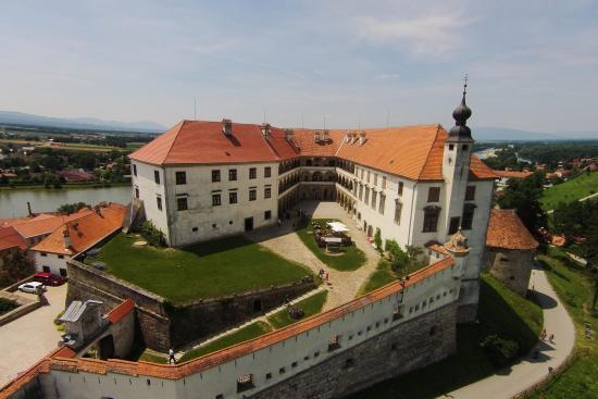 Burg Ptuj