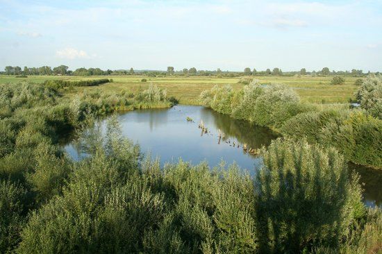Aussichtsturm Linteler Weiden