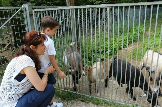 Zoo al Maglio-Neggio