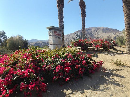Einkaufszentrum Westfield Palm Desert