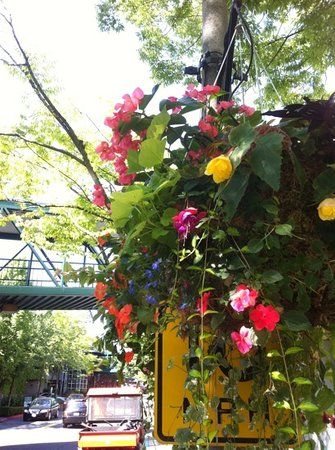 Einkaufszentrum Bellevue Square Mall