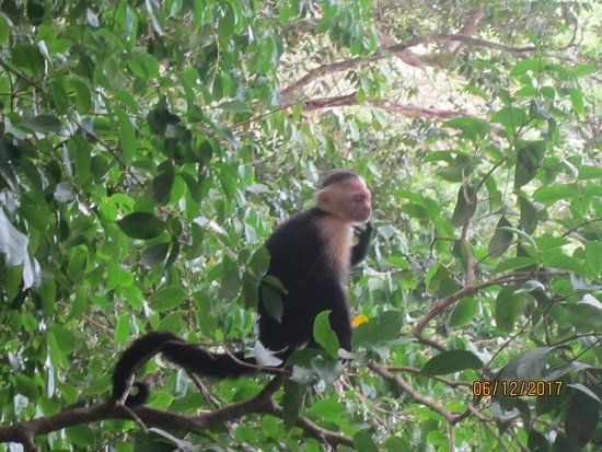 Nationalpark Manuel Antonio