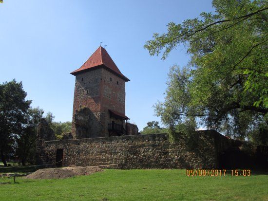 Castle in Chudowa