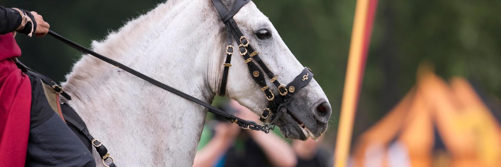 Störtebecker Festspiele